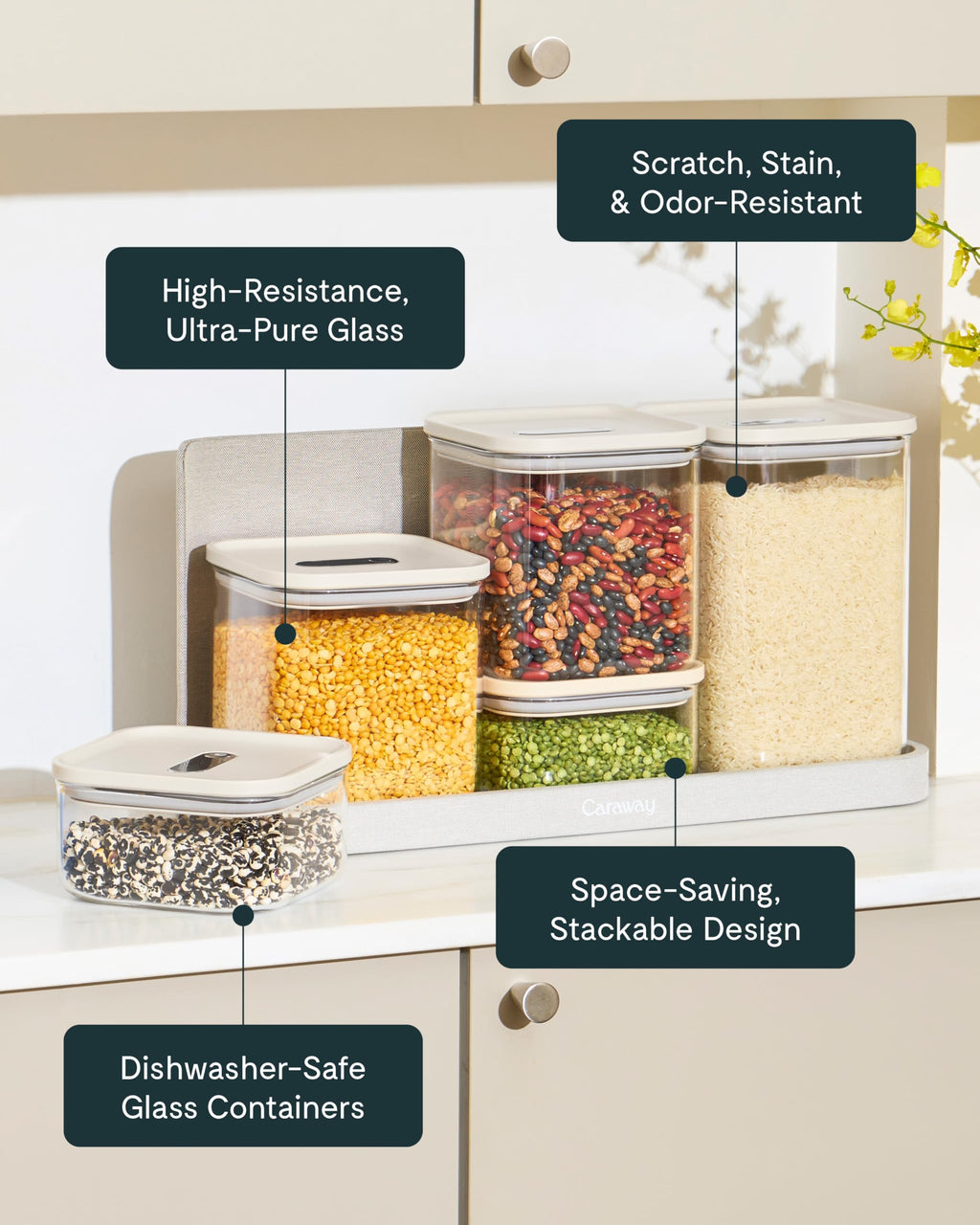 Airtight Glass Food Storage Container Collection