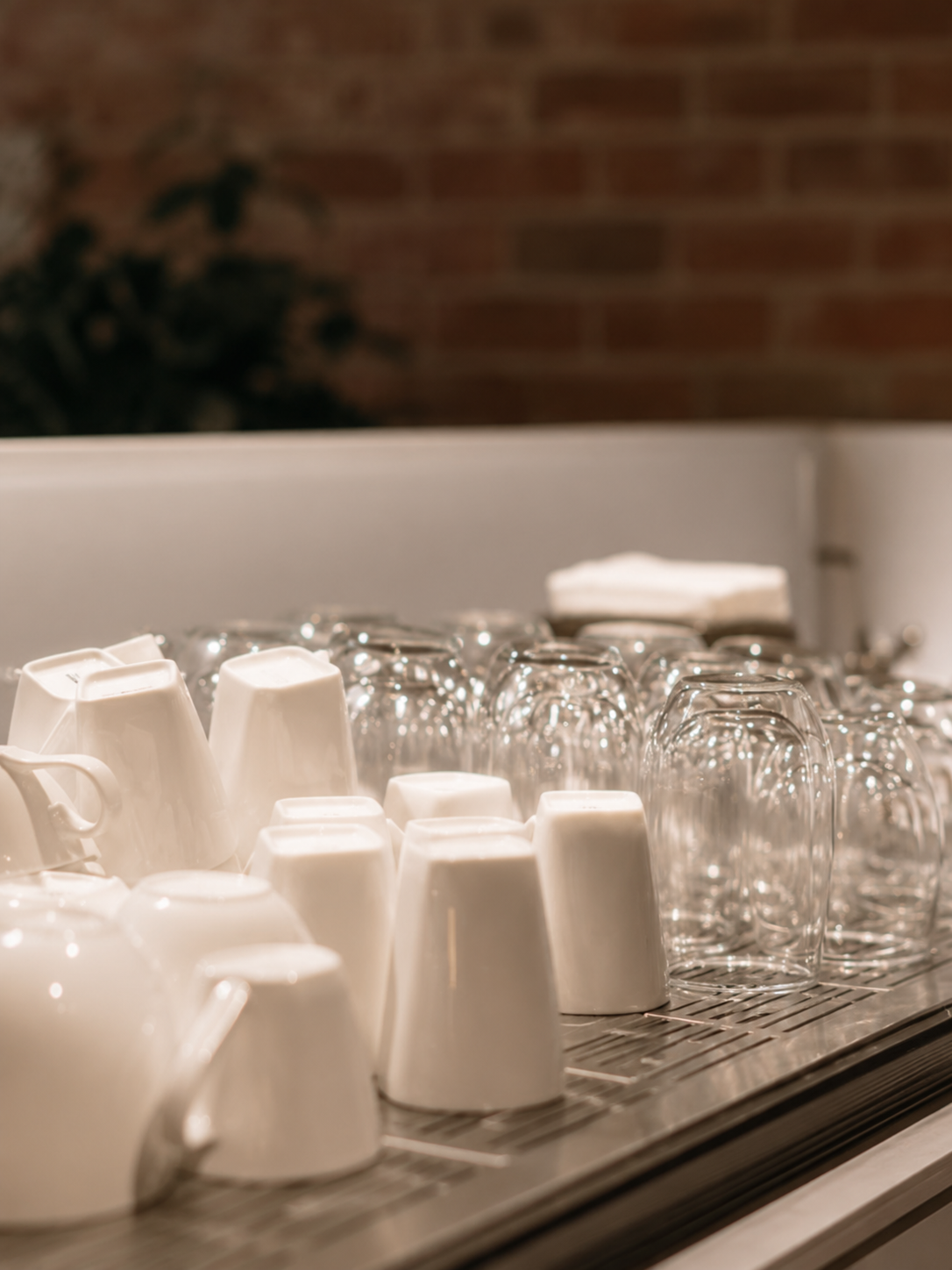 Cups and Glassware